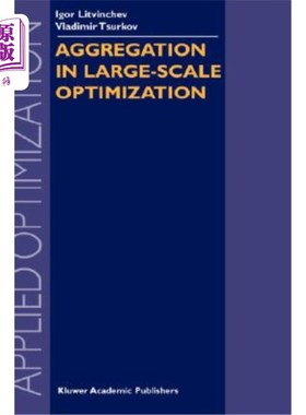 海外直订Aggregation in Large-Scale Optimization 大规模优化中的聚集