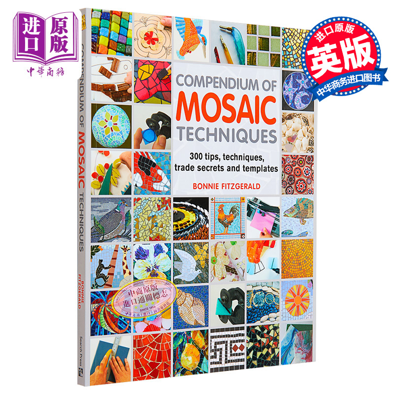Compendium of Mosaic Techniques 进口艺术 马赛克技术大全：300 个技巧、技术、商业秘密和模板【中商原版】