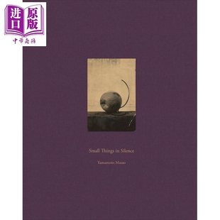 微小事物 Small Silenc 进口艺术 Yamamoto Things 中商原版 预售 山本昌男：寂静中 Masao