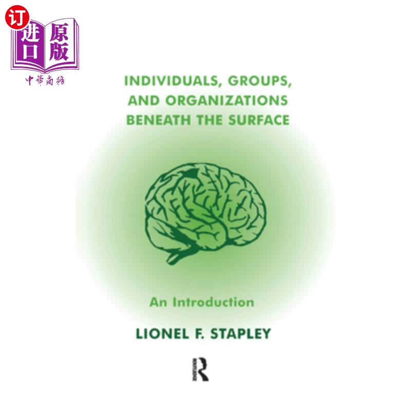 海外直订Individuals, Groups and Organizations Beneath the Surface: An Introduction 表面之下的个人、团体和组织:导论