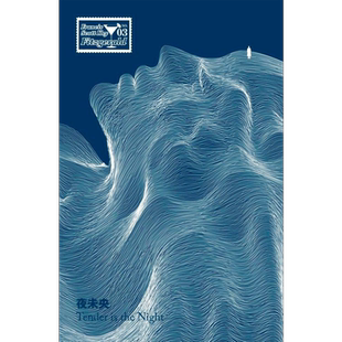 夜未央 费兹杰罗经典小说新译 精装 港台原版 史考特费兹杰罗 一人出版社【中商原版】