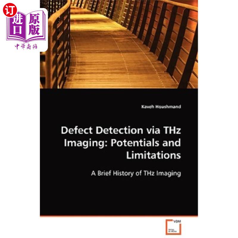 海外直订Defect Detection via THz Imaging: Potentials and Limitations