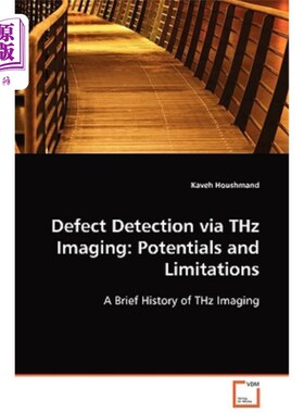 海外直订Defect Detection via THz Imaging: Potentials and Limitations
