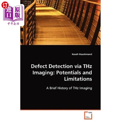 海外直订Defect Detection via THz Imaging: Potentials and Limitations