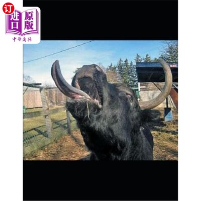 海外直订Animals: In the World Around Them 《动物:在它们周围的世界