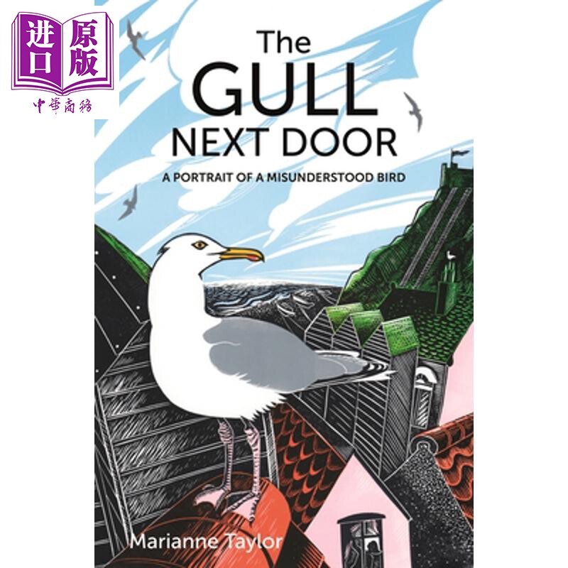 预售 隔壁的海鸥 The Gull Next Door A Portrait of a Misunderstood Bird 英文原版 Marianne Taylor【中商原版】