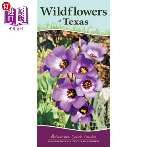 海外直订Wildflowers of Texas: Your Way to Easily Identify Wildflowers 德克萨斯州的野花:你的方式很容易识别野花