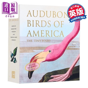 美洲鸟类 America Folio 进口艺术 Tiny The 中商原版 Audubons 奥杜邦 Birds