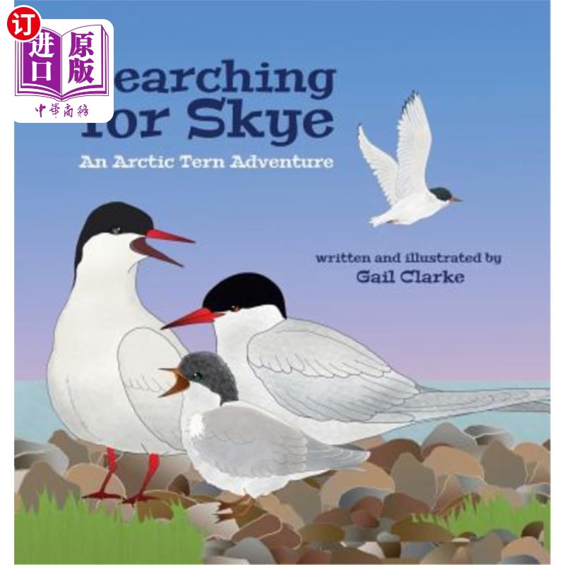 海外直订Searching for Skye: An Arctic Tern Adventure 寻找斯凯:北极燕鸥的冒险
