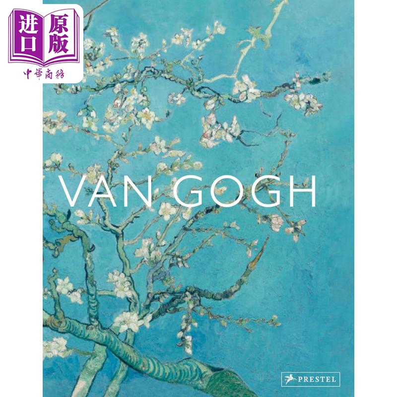 凡高VanGoghBiggerPicture