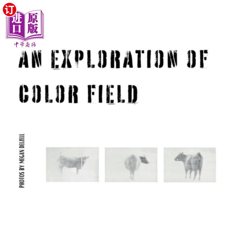海外直订An Exploration In Color Field 色彩领域的探索
