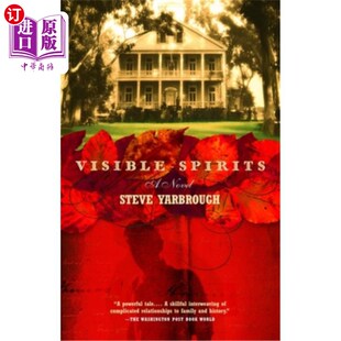 海外直订Visible 可见精神 Spirits