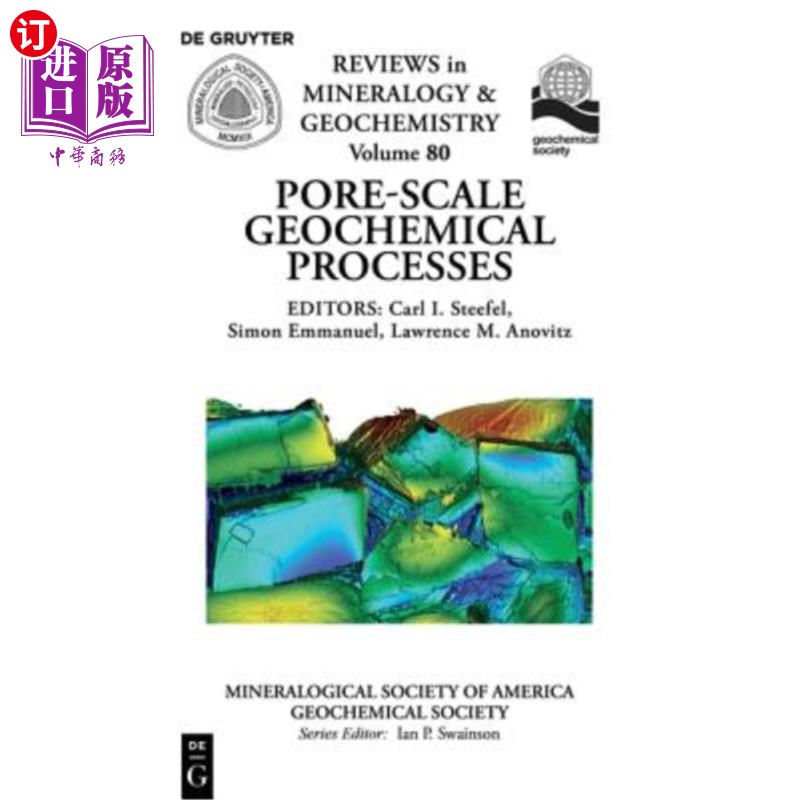 海外直订Pore Scale Geochemical Processes 孔隙尺度地球化学过程