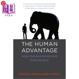 Became 大脑如何变得非凡 Advantage 优势：我们 人类 Remarkable Brains Our How Human 海外直订医药图书The