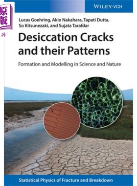 现货 Desiccation Cracks And Their Patterns 【中商原版】