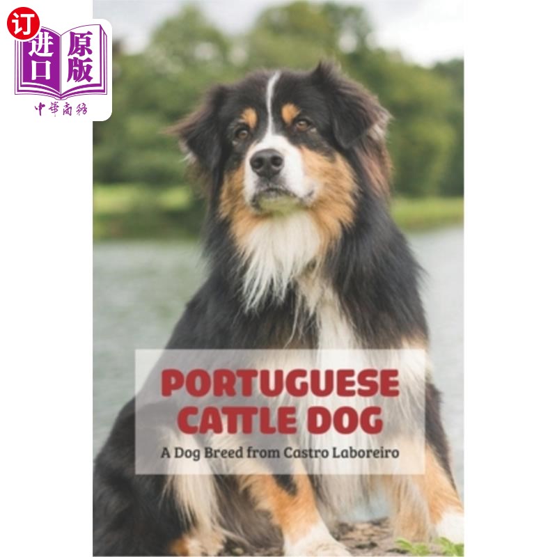 海外直订Portuguese Cattle Dog: A Dog Breed from Castro Laboreiro葡萄牙牛狗:来自卡斯特罗Laboreiro的狗品种