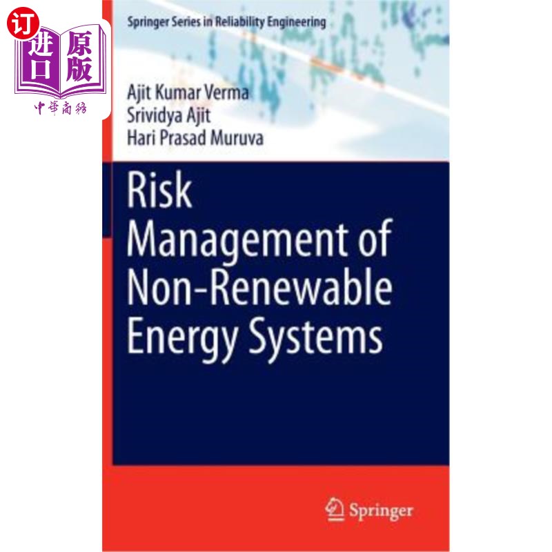 海外直订Risk Management of Non-Renewable Energy Systems 不可再生能源系统的风险管理
