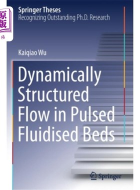 海外直订Dynamically Structured Flow in Pulsed Fluidised Beds 脉冲流化床中的动态结构流动