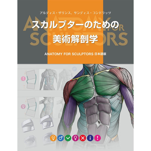 给雕塑家的美术解剖学 スカルプターのための美術解剖学 Anatomy For Sculptors 日本語版 日文原版  アルディスザリンス