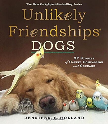 现货 【中商原版】不一样的友谊：狗 英文原版 Unlikely Friendships: Dogs