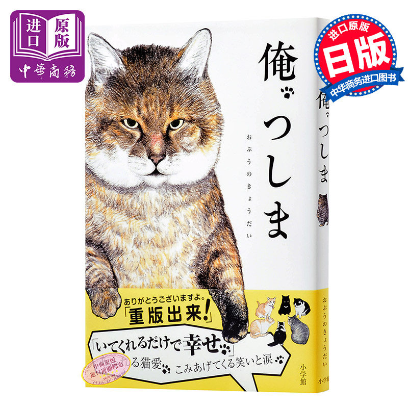 现货 叫我对大哥 日文原版 俺,つしま おぷうのきょうだい 小学馆