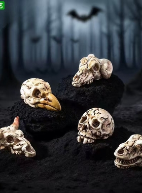 乌鸦头骨生态瓶微景观桌面摆件