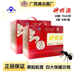 广西钦州特产浦北神蜉酒大黑蚂蚁酒28度酒保健酒2箱杯装送礼年货