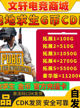 PUBGG币绝地求生G币金币吃鸡gb游戏币皮肤点卷官方充值兑换码CDK