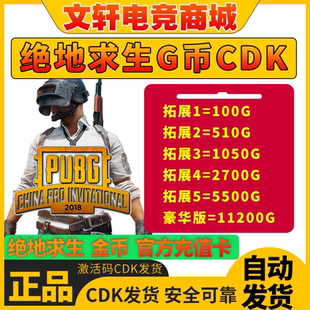PUBGG币绝地求生G币金币吃鸡gb游戏币皮肤点卷官方充值兑换码CDK