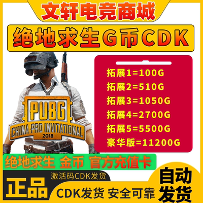 PUBGG币绝地求生G币金币吃鸡