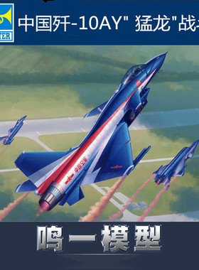 小号手02857军模飞机拼装模型航模1:48中国空军歼-10AY猛龙战斗机