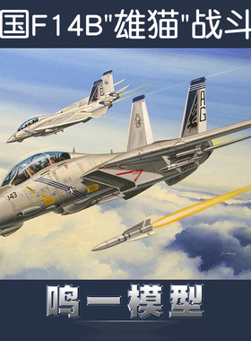小号手 80277 拼装飞机模型 1/72美国F14B