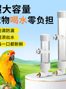 不锈钢撞针水壶虎皮鹦鹉专用品饮水器自动喂水鸟用品鸽子兔子玄凤