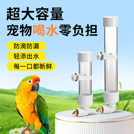 不锈钢撞针水壶虎皮鹦鹉专用品饮水器自动喂水鸟用品鸽子兔子玄凤