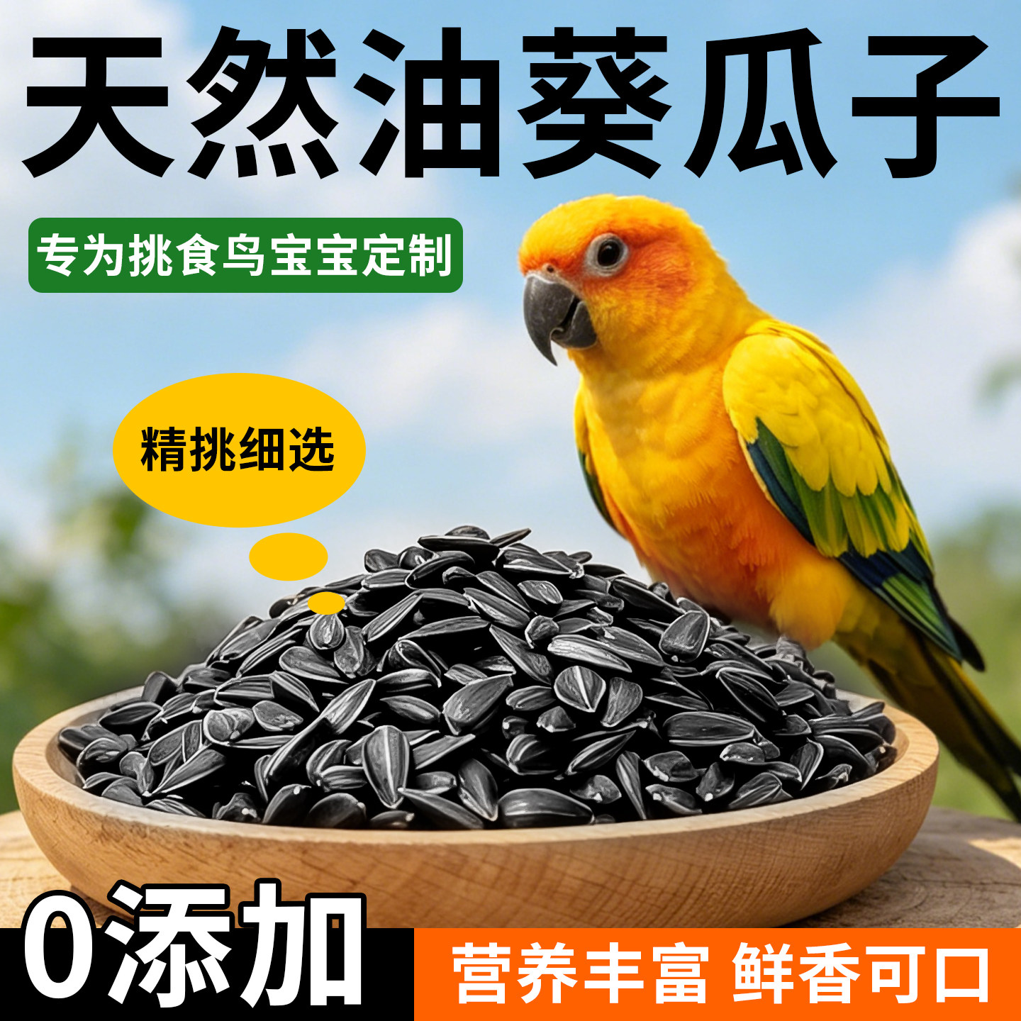 黑油葵小瓜子白油葵鹦鹉专用鸟粮鸟零食