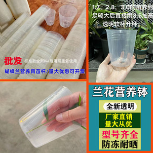 白色加厚透明营养钵塑料花盆种植全新料防老化兰花杯蝴蝶兰专用杯