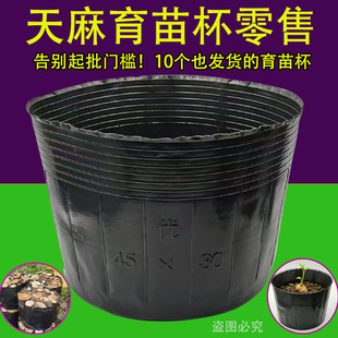 天麻黑色塑料育苗杯大号种植盆栽花盆营养钵育苗盘