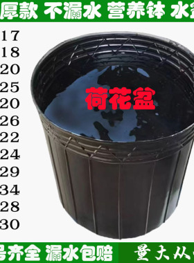 水盆无孔营养钵加厚塑料睡莲盆不漏水荷花盆碗莲盆荷花营养杯无洞