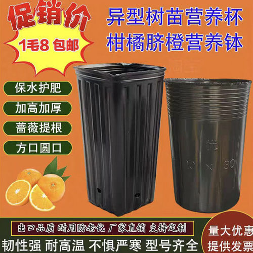 柑橘营养杯塑料加厚营养钵育苗杯