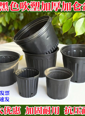 营养钵盆栽塑料大号黑色加厚加仑盆简易花盆重复使用种植盆培育盆
