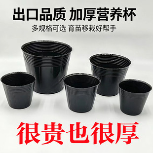 营养钵花盆树苗塑料加厚育苗杯营养杯防老化优质塑料育苗盆黑大号