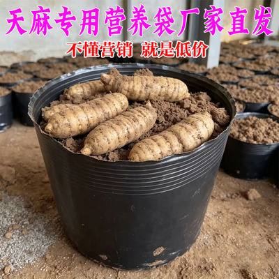 黑色加厚营养钵天麻专用