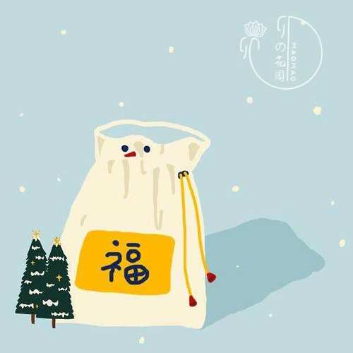 肉锥生石花种子仙人球