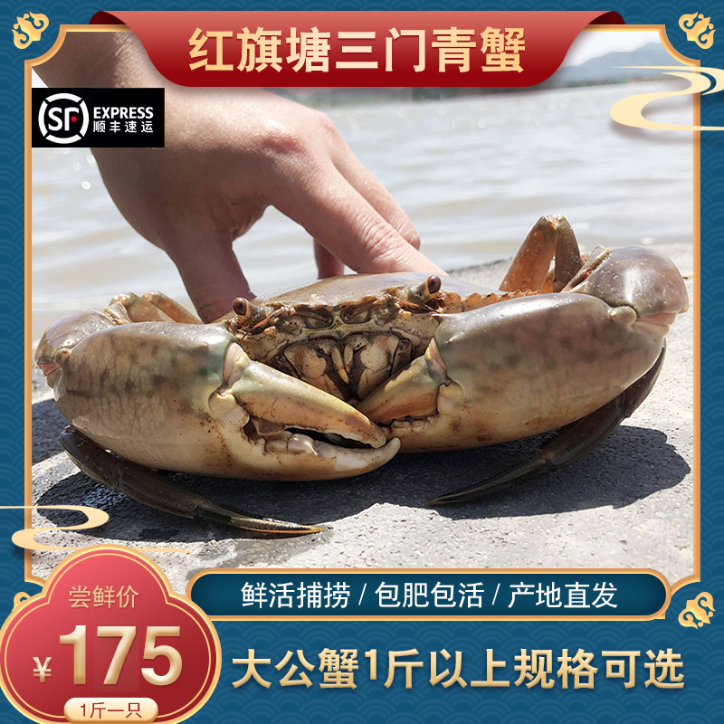 一斤以上野生水产海蟹