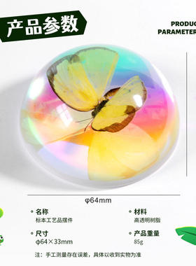 6.4cm/8.9cm直径自然昆虫半球植物海洋文创摆件博物馆特色伴手礼