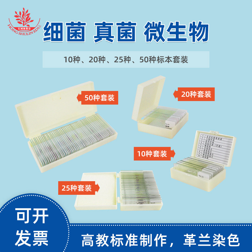 10种20种25种50种细菌微生物玻片革兰染色球菌杆菌螺旋菌生物教学