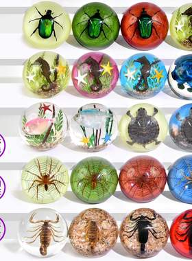 真昆虫热带鱼夜光乌龟螃蟹半圆摆件文创市集博物馆热卖树脂品