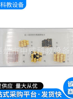 验证标本规律分离基因J43110中学生物教学仪器