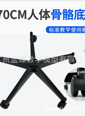 170cm铁棍大骨骼模型配套的铁质人体黑色塑料人体及支架底座