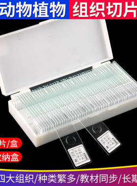 43507人血涂片人血切片生物人体组织四大实验切片显微镜切片套装